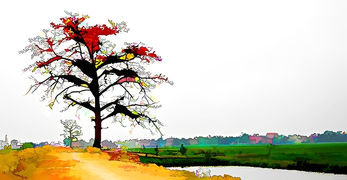 Cây gạo cõng mặt trời