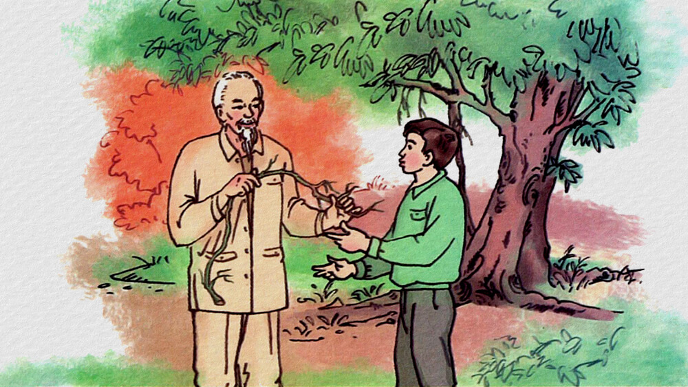 Chiếc rễ đa tròn