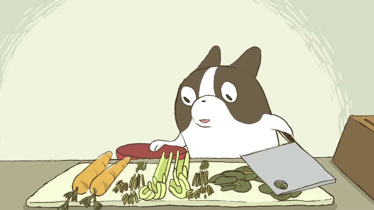 Chó và người đầu bếp