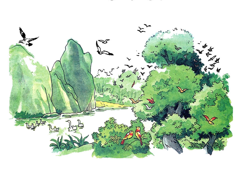 Cuộc họp của loài chim