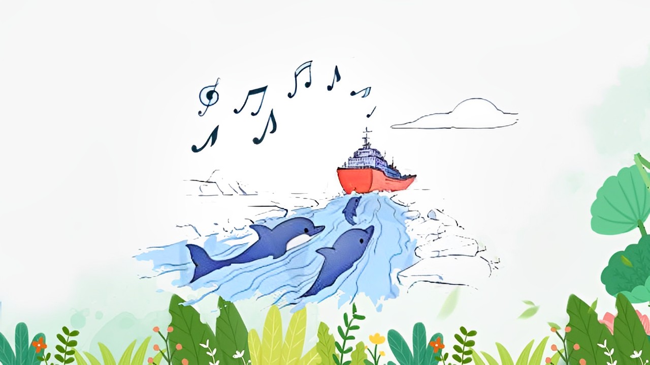Đàn cá heo và bản nhạc