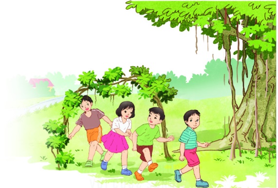 Điều ước sao băng