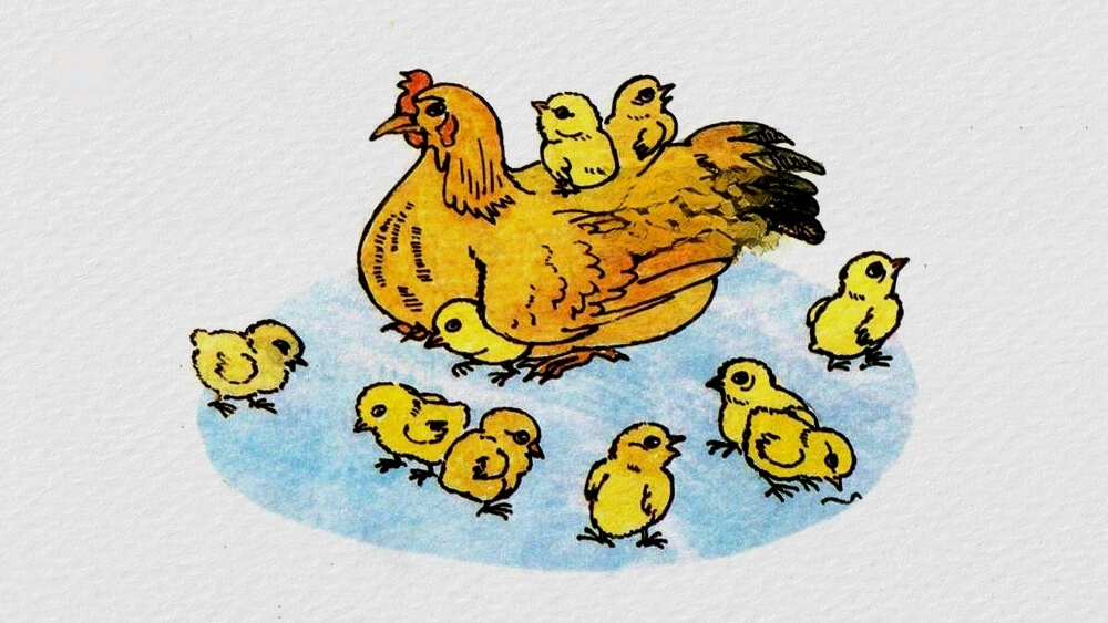 Một câu trả lời