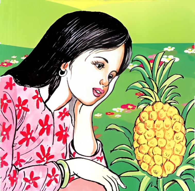 Sự tích quả dứa